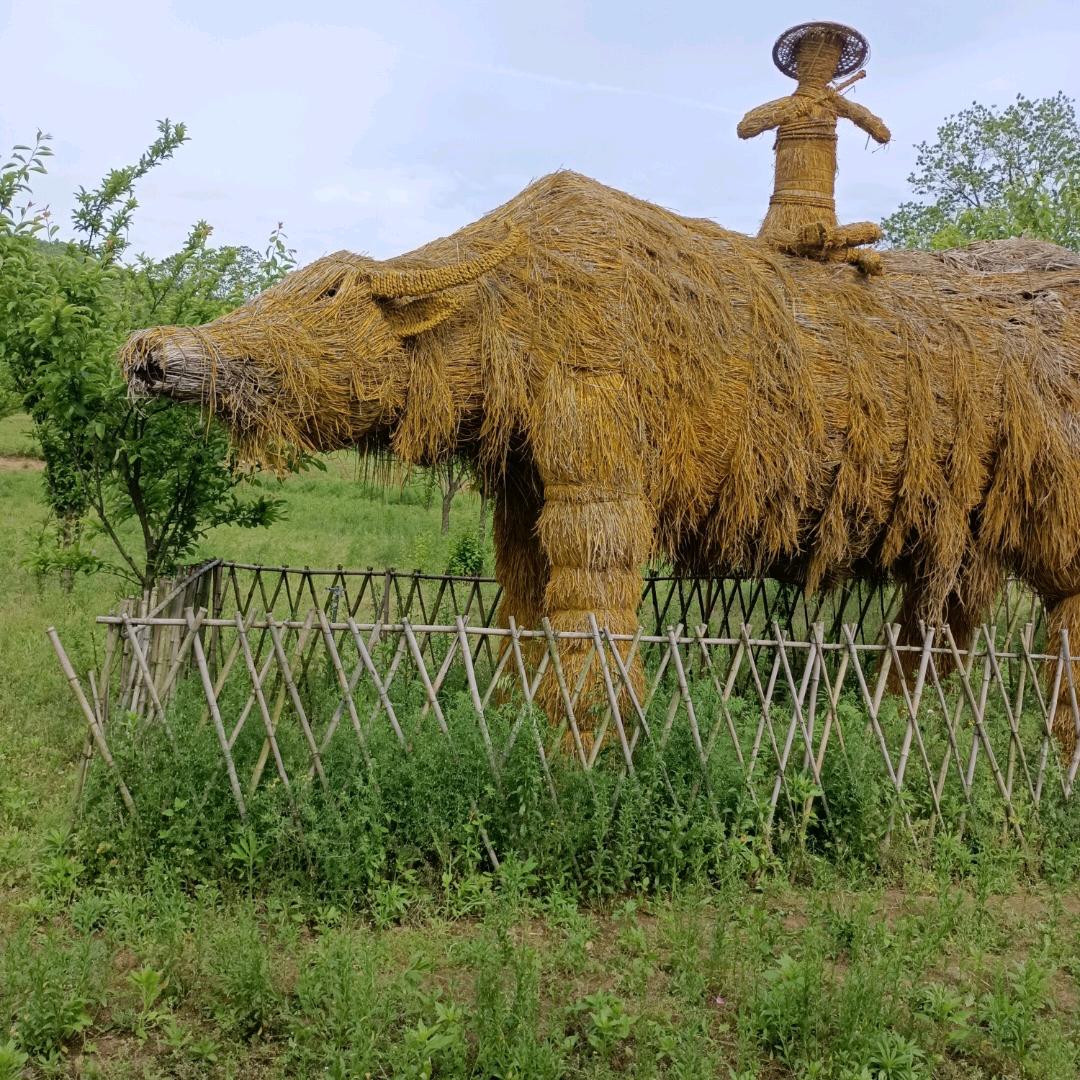 漂泊异乡的单身人
