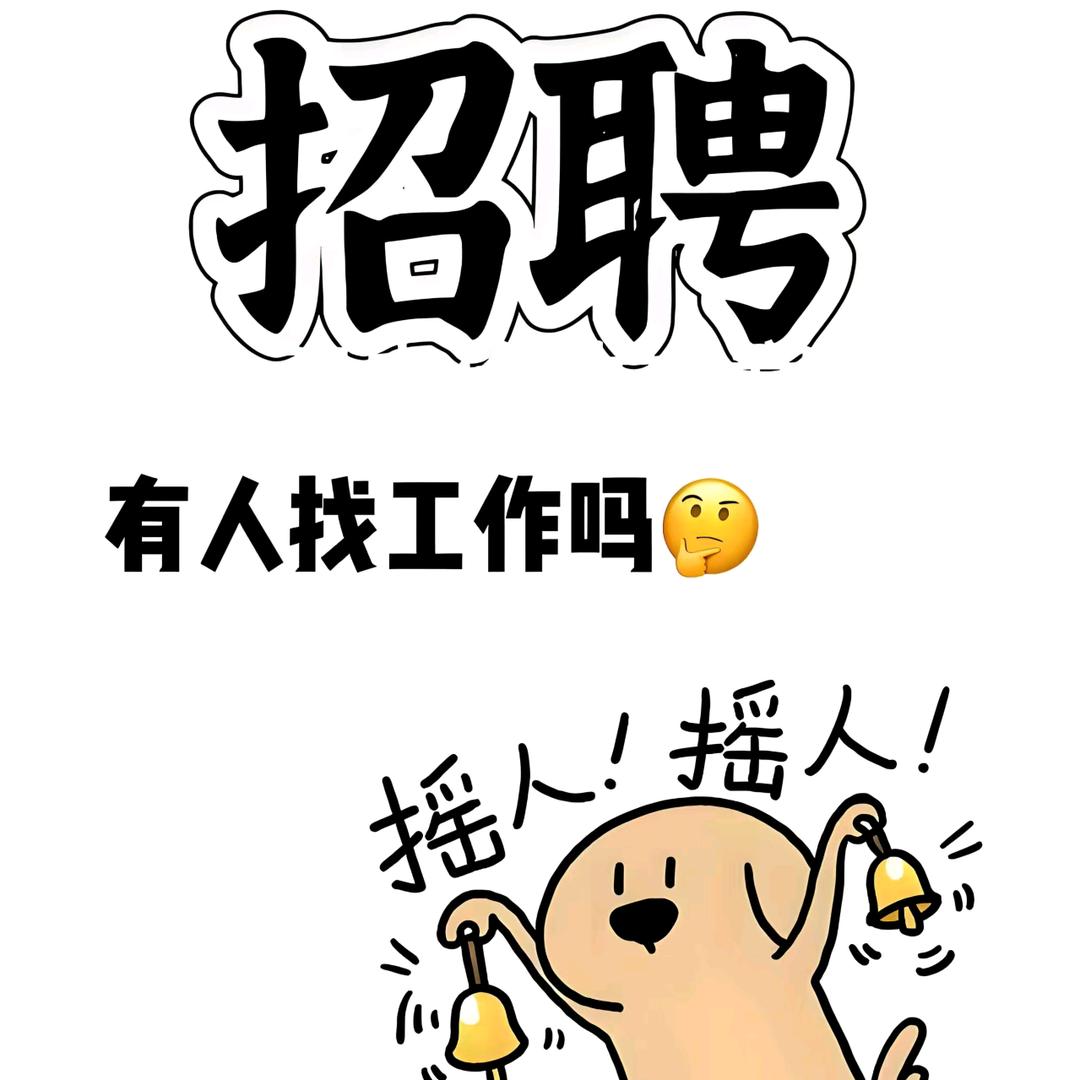 城信招聘