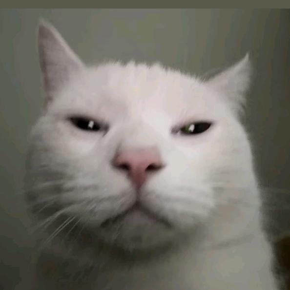 你得给俺个说法！