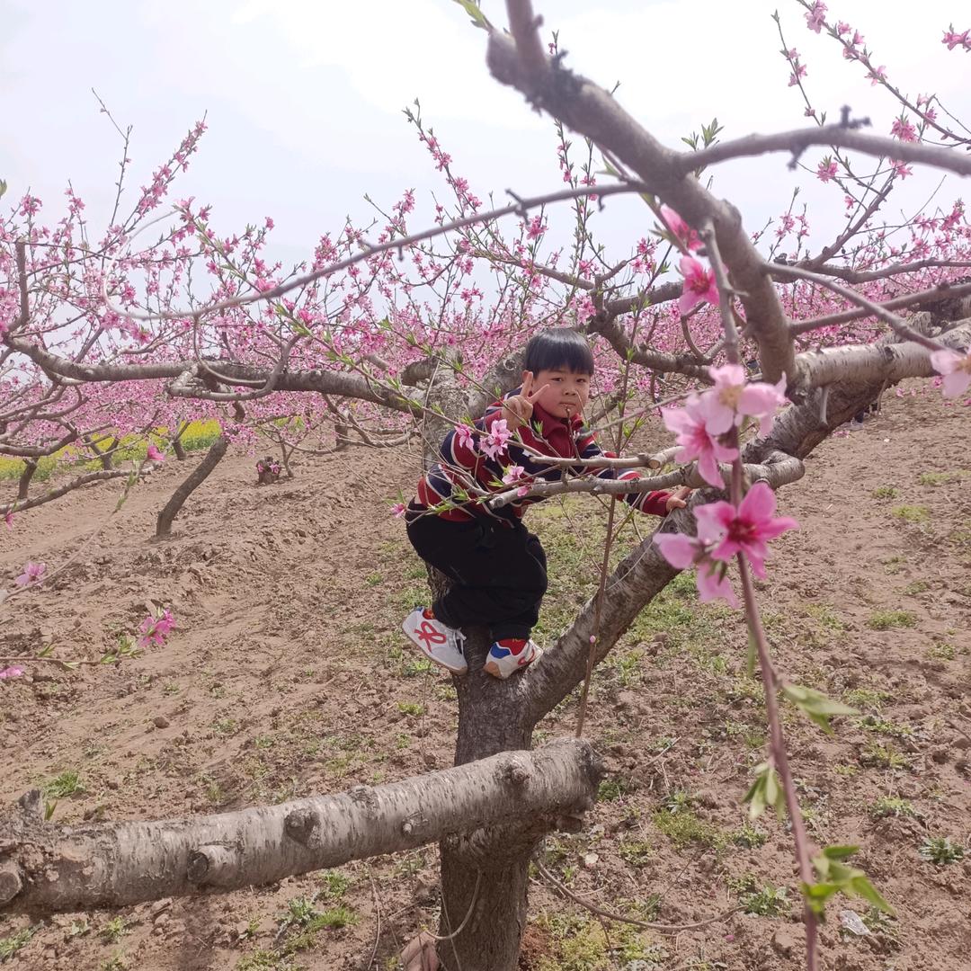 用户欣欣