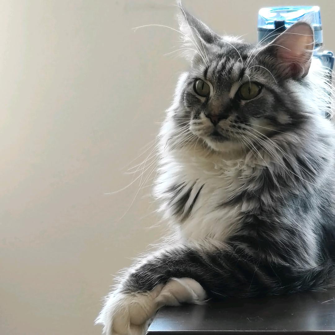 zoey
