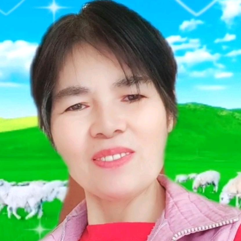 安珍姊(有橱窗)