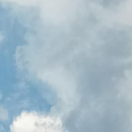 是小郑呀
