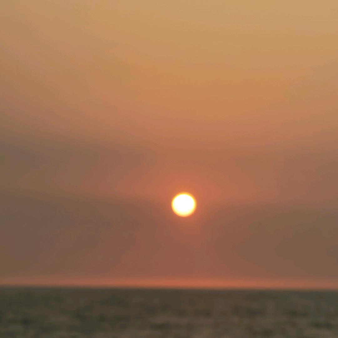 滨城飞狐