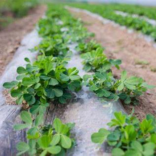 润香坊食品商行