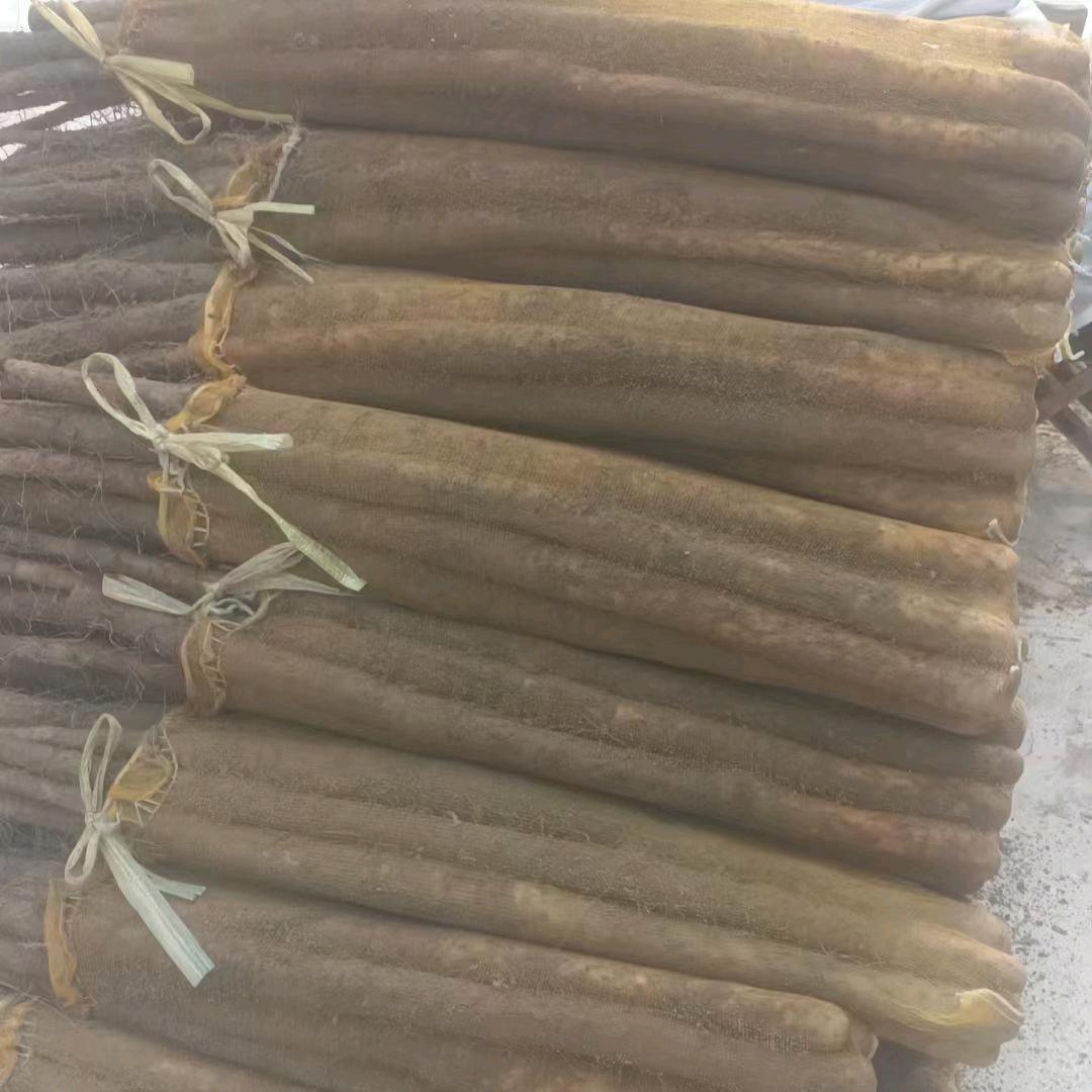 批发铁棍山药