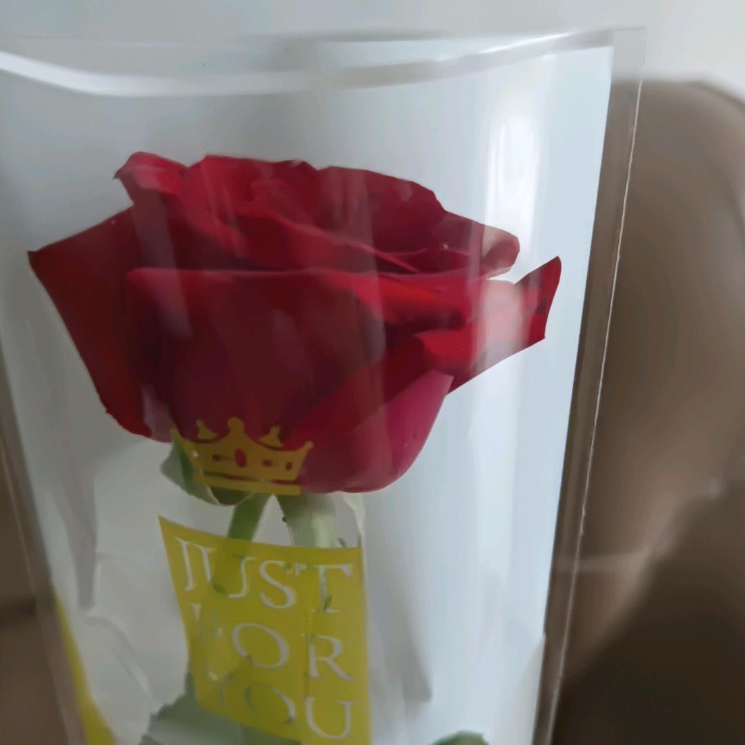 番茄影视