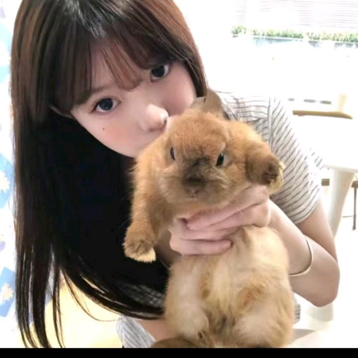 爱熬夜的酸菜鱼