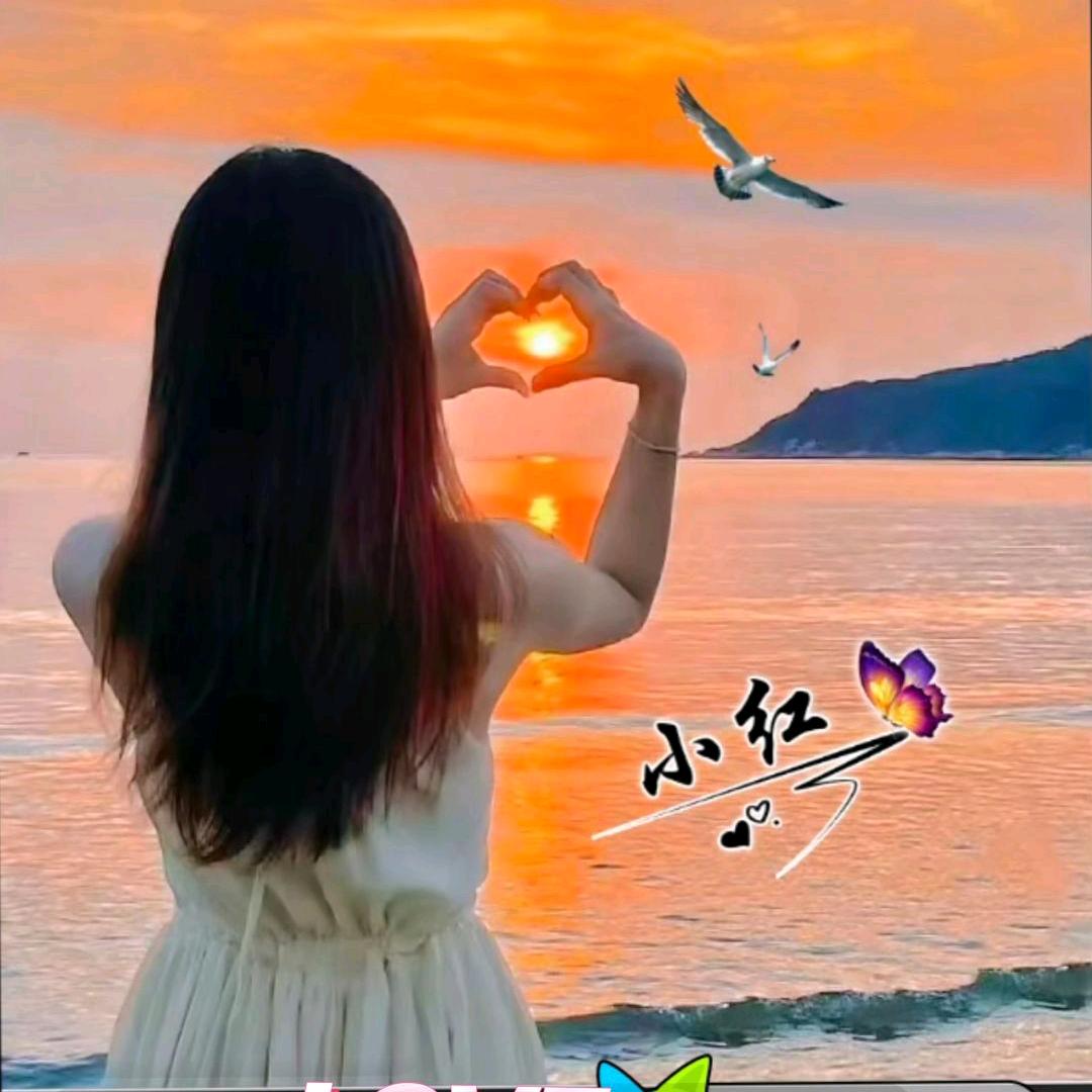 ꧁꫞💞小红🌹单身一个人💞꫞