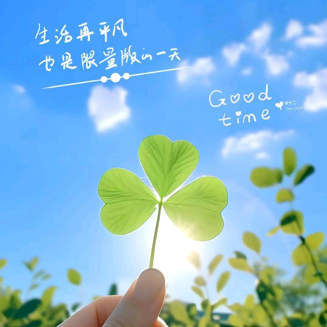掌心宝