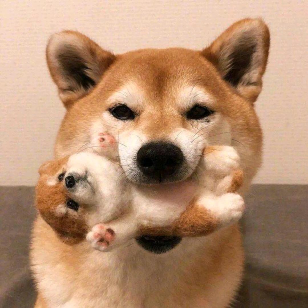 凌晨三点半