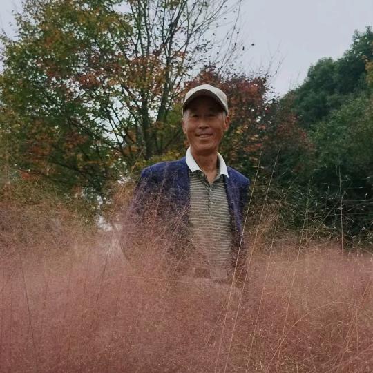 建