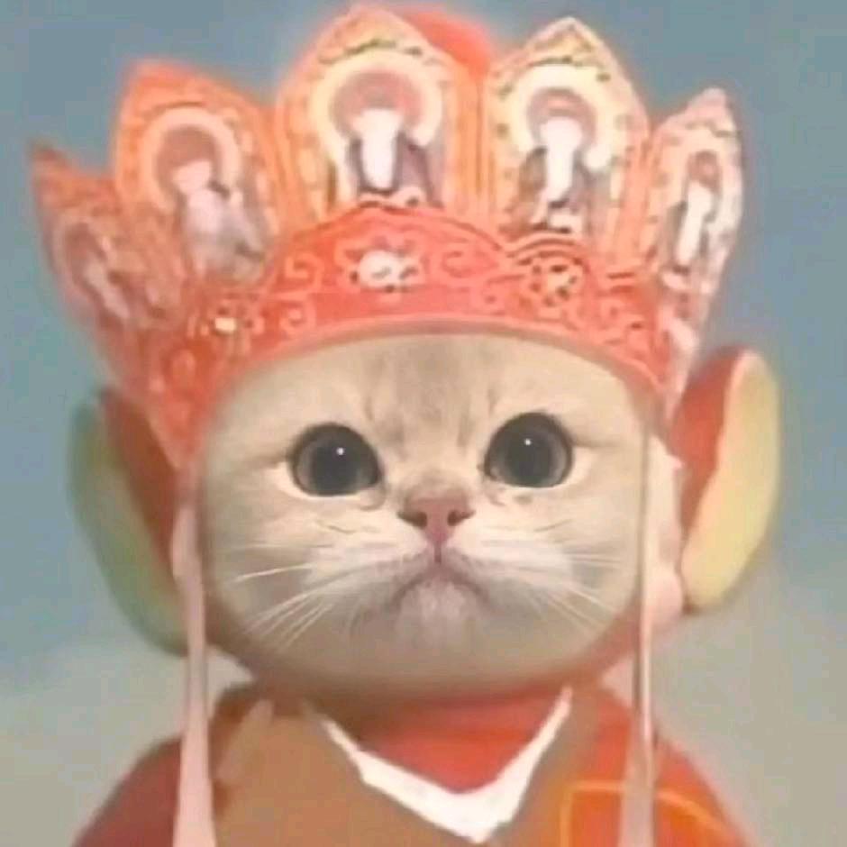 平台🏴‍☠️