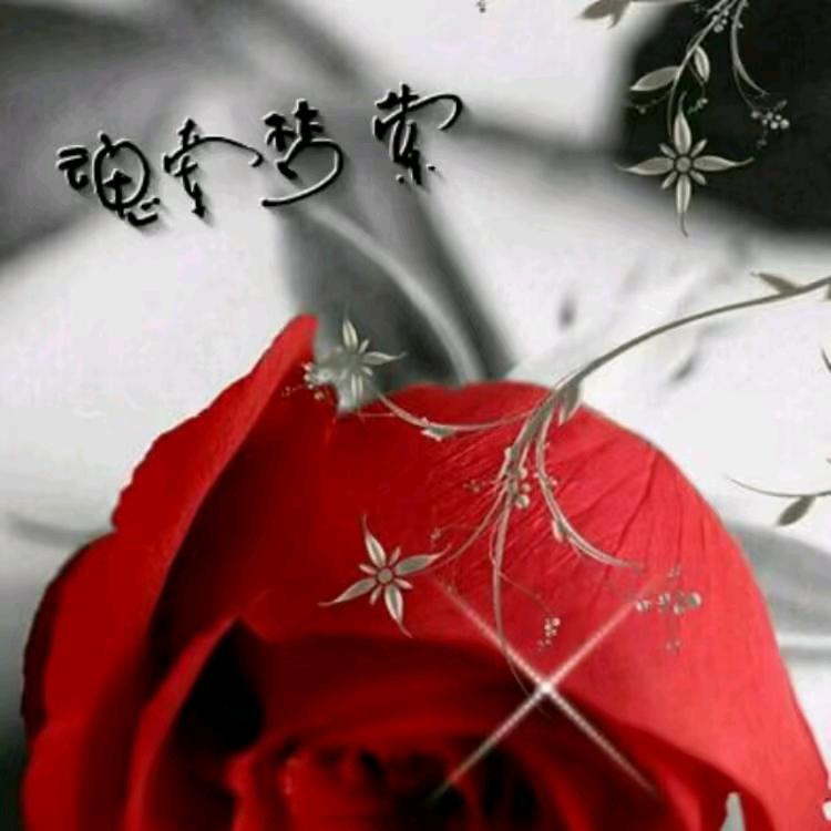 梦萦