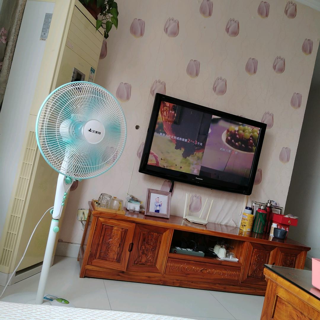 温暖的太阳