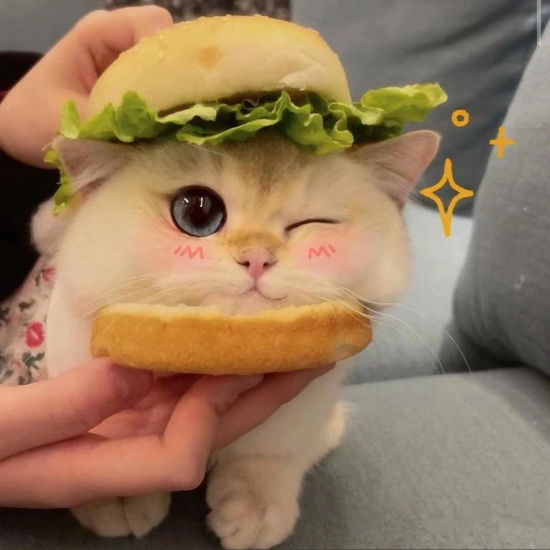 星懋外贸店