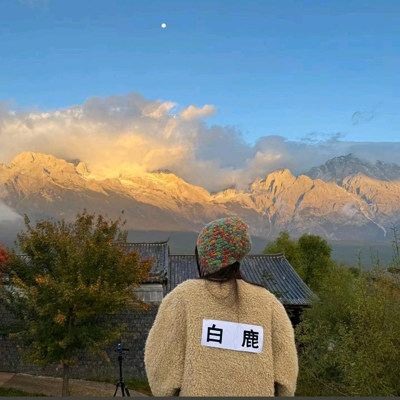 鹿茸my