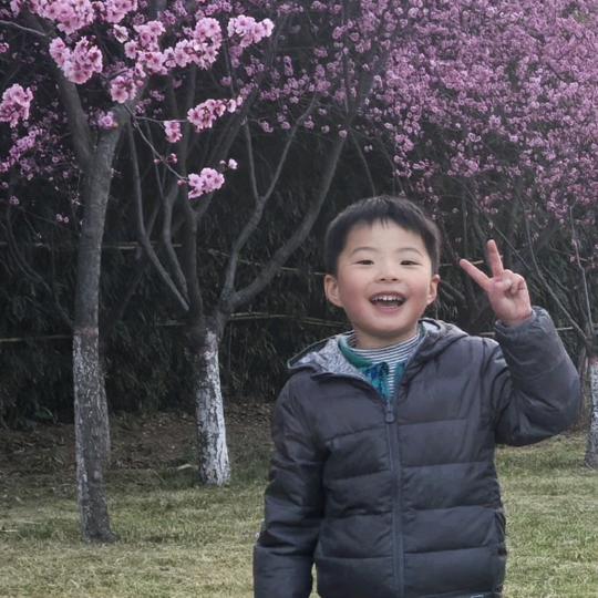 追风少年、