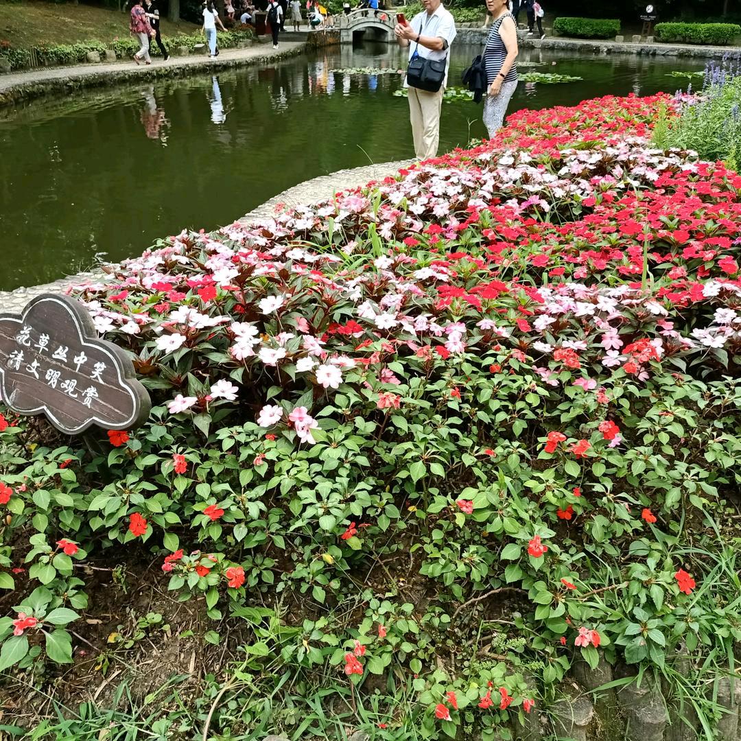 独来独往