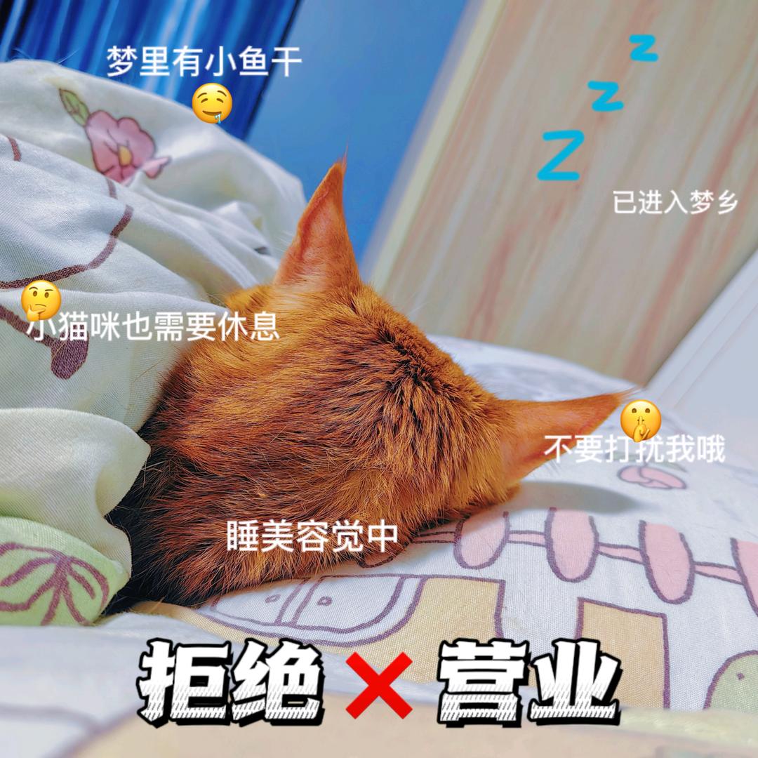 爱吃六寸戚风的化学家