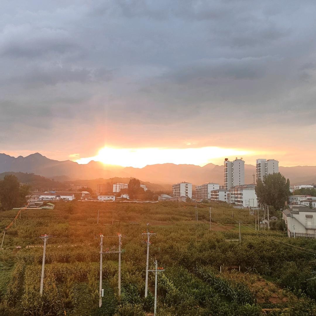 不发胖只发财