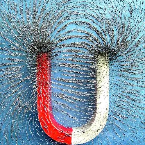 ꧂财富魔法师꧁