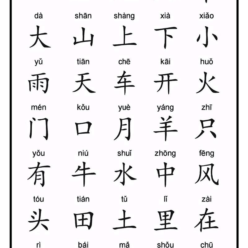 杨老师教你认字