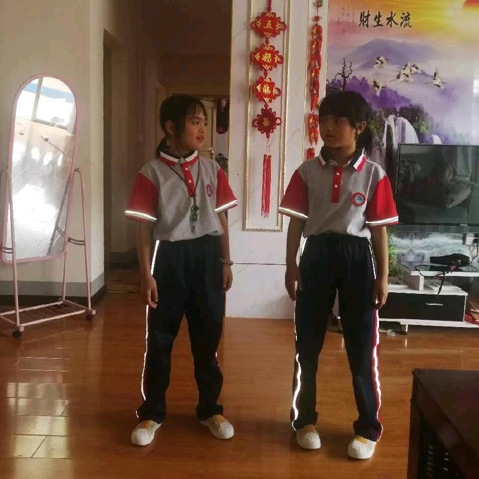 军