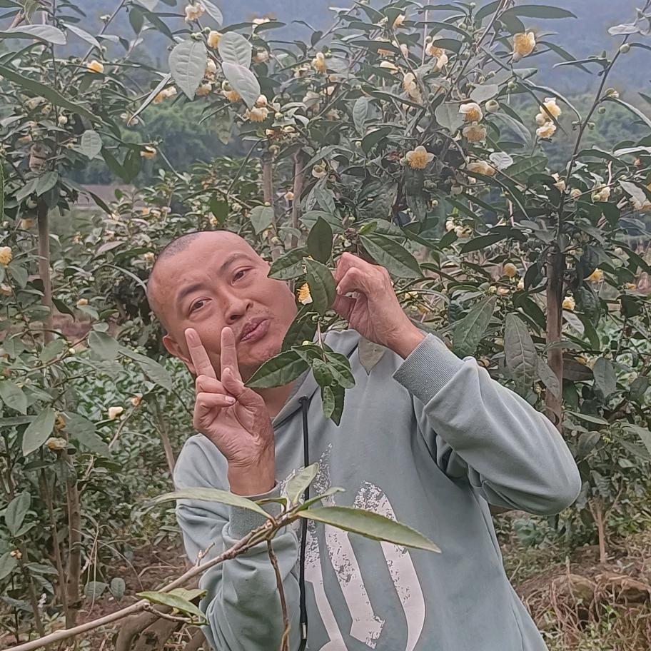 茶农勇哥