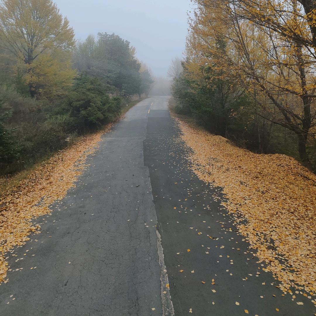 笑对生活😀😀