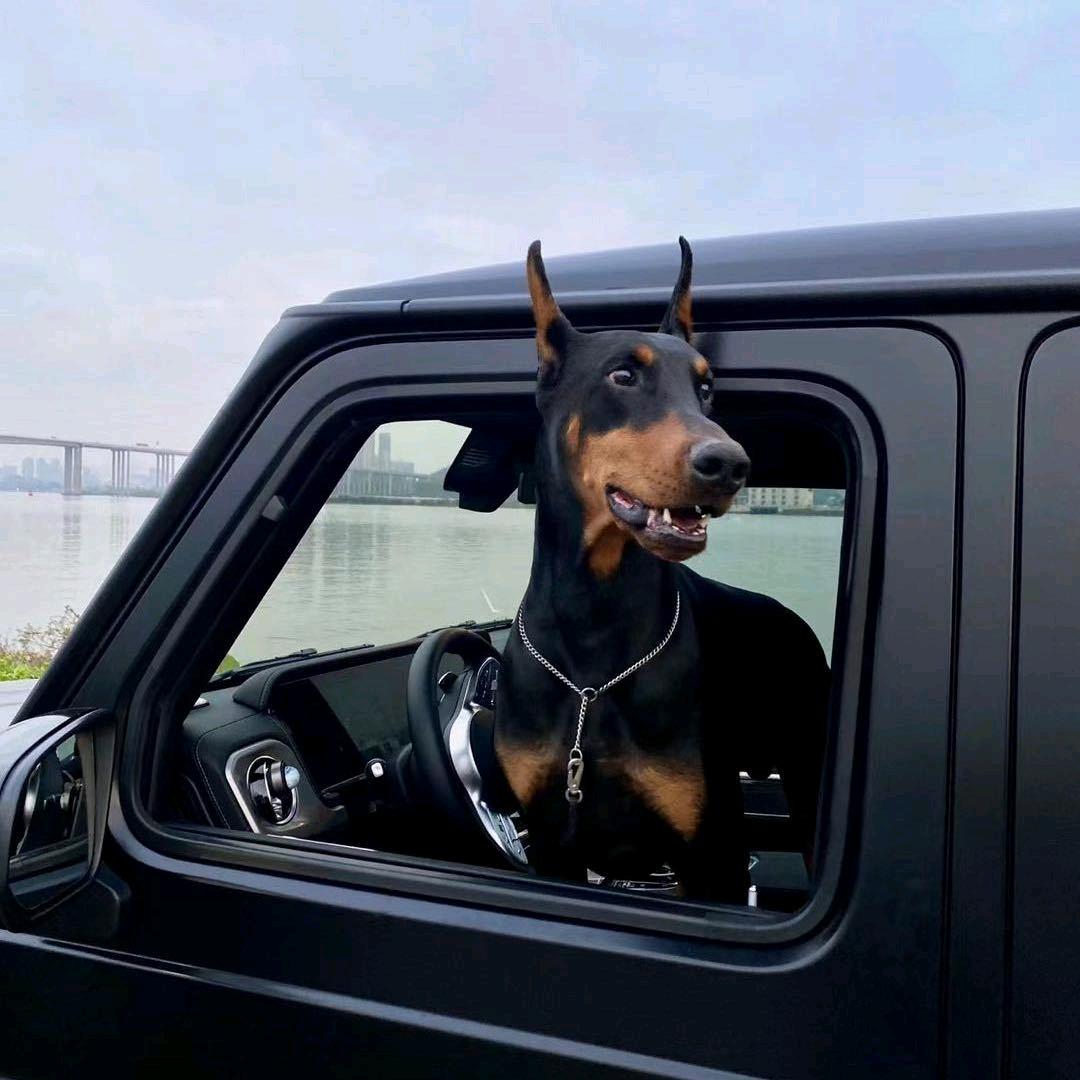 我是九你是三，除了你还是你