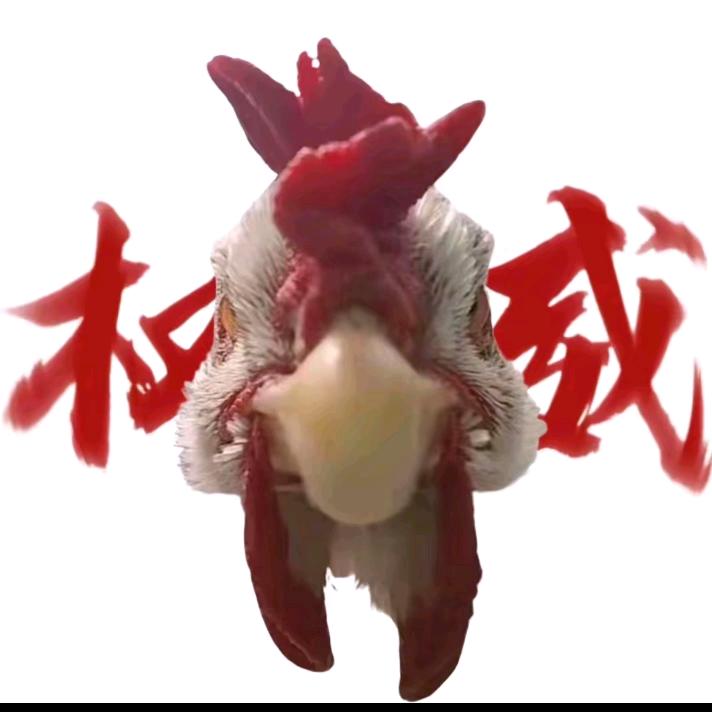 八百🐔兵奔北坡
