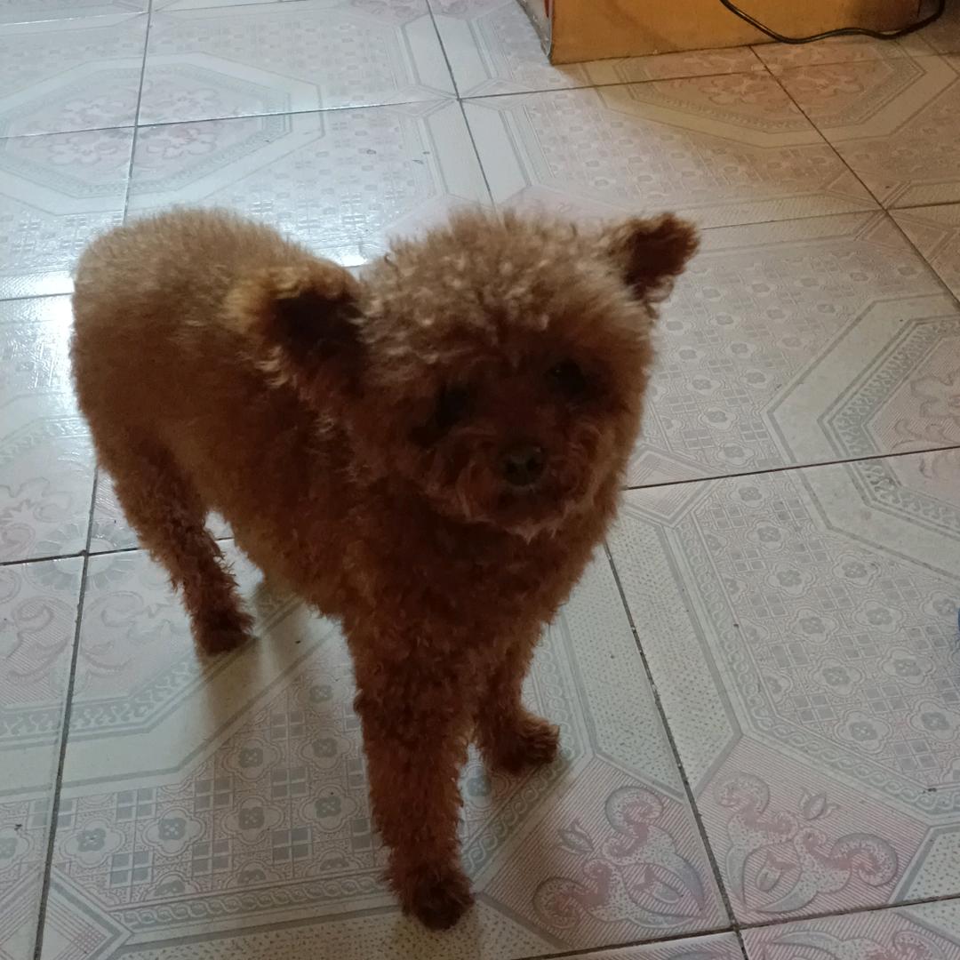 希望有见到的看到私信和我说一声谢谢