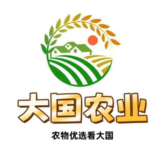 大国农业（辣白菜）