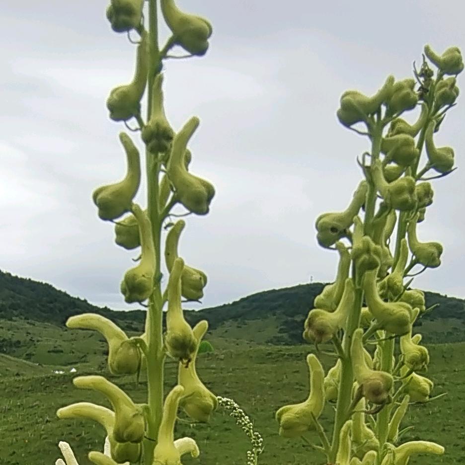岁月不回头