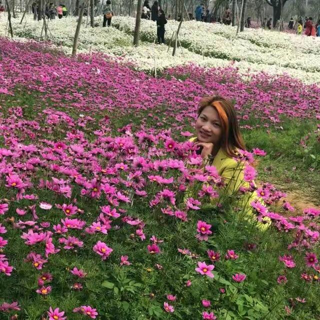 飘零的叶子