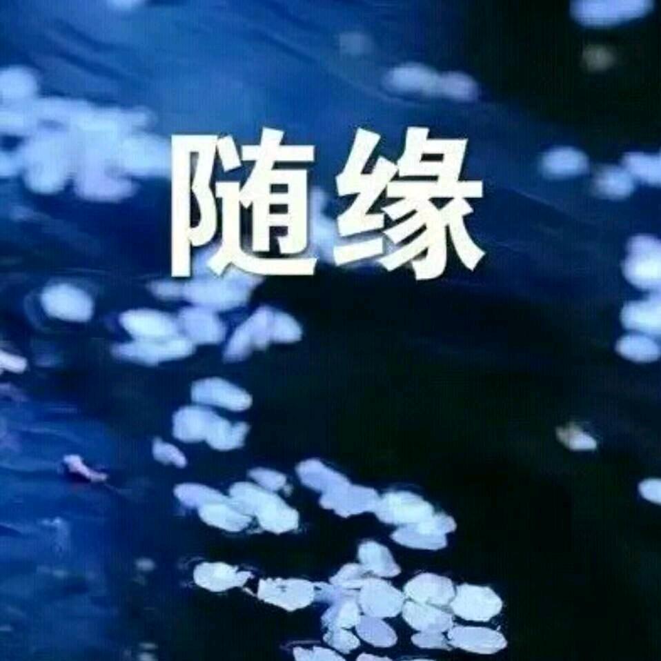 往前看（一个人挺好）