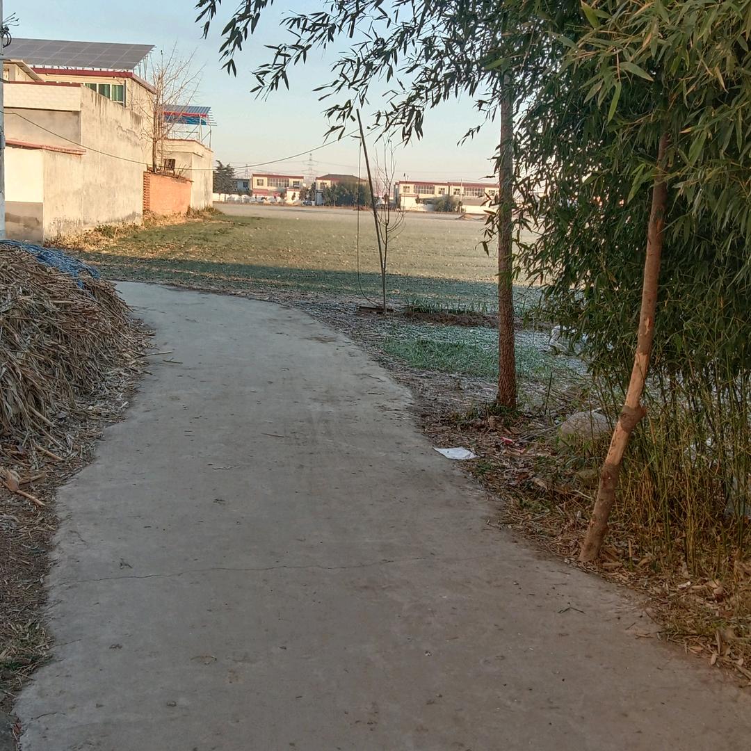 暖春运气好