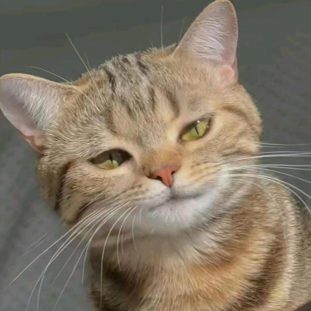 人生是旷野