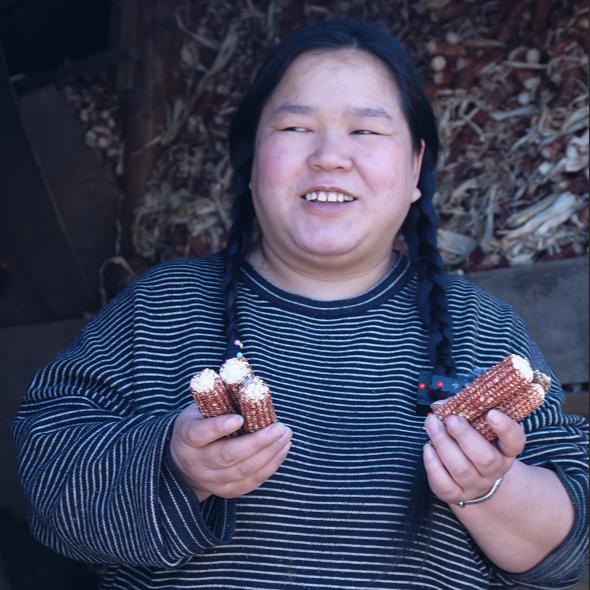 村燕