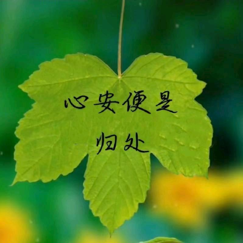不见  不欠  不念