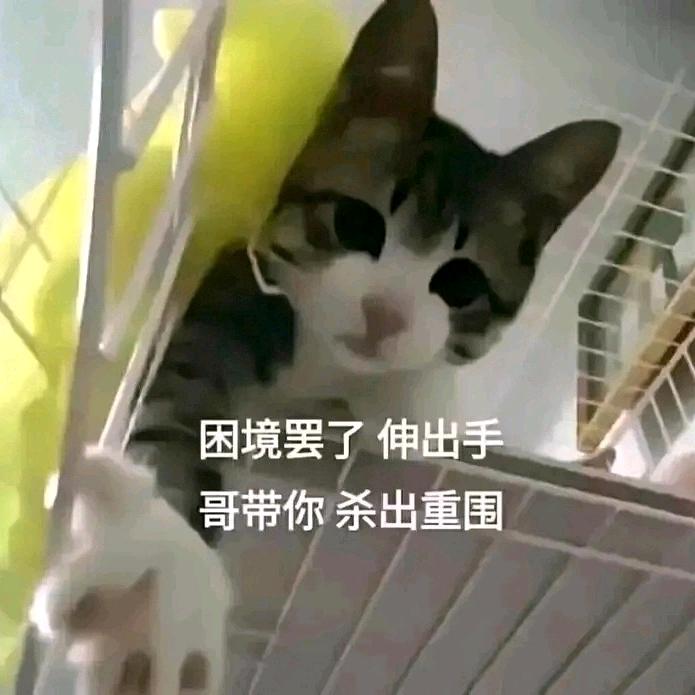 剪辑师阿超
