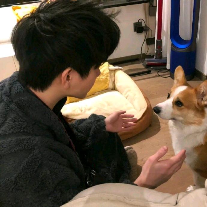 頂峰相見.