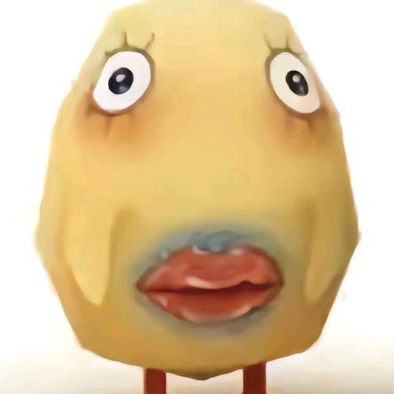 菲菲🐷