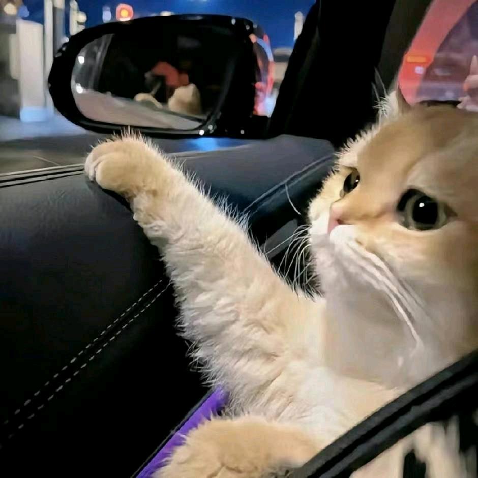 G;