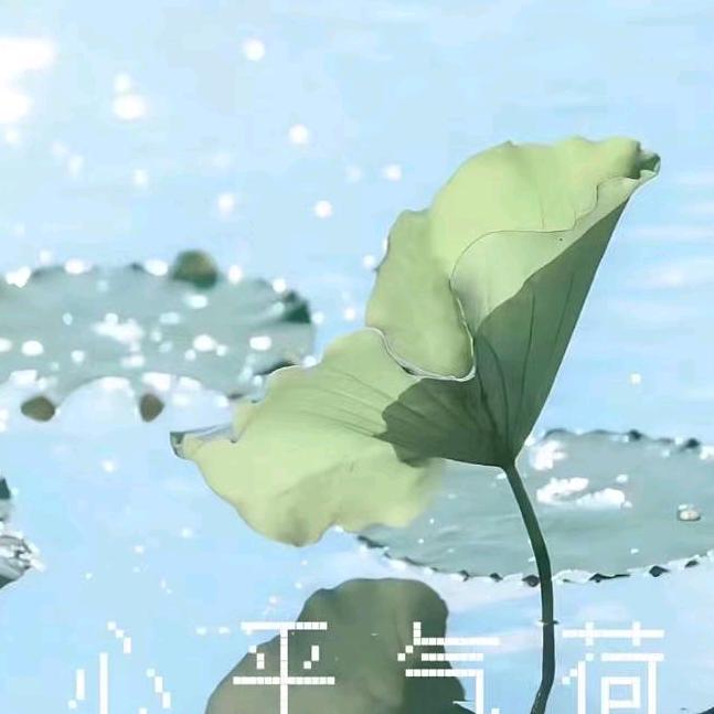用户1856429469