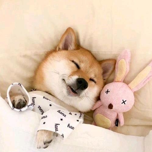 ໑ຼₒ₂₄ღ不爱吃芹菜🕊꧔ꦿ᭄