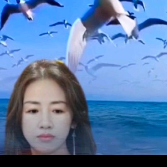 🌊🐯华姐🌊🐯