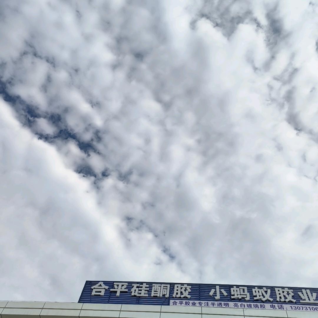 赵彦《世纪小蚂蚁胶业》