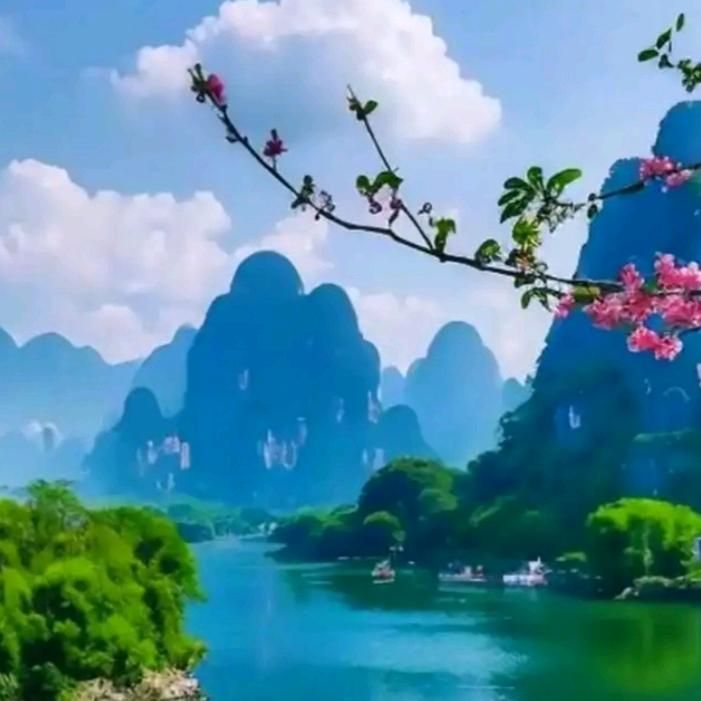 随风去流浪